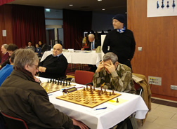 ChessOrg Bild